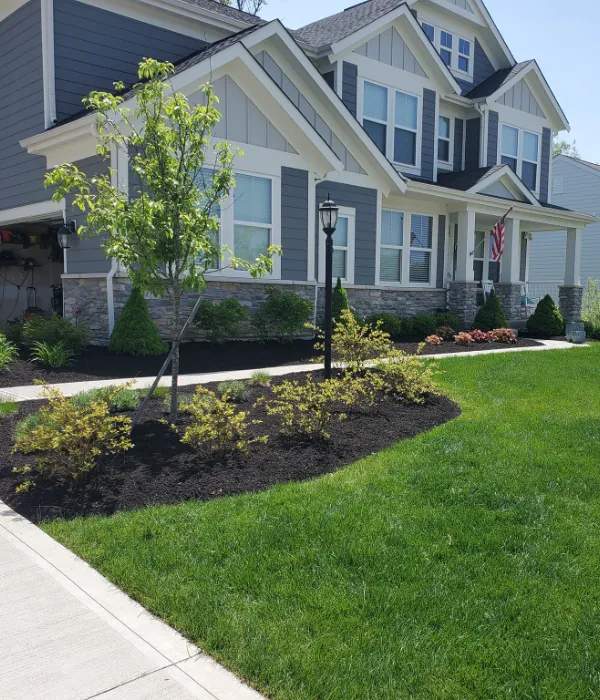 New Construction Landscaping