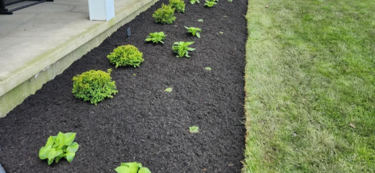 fall clean up for your properties in Ohio