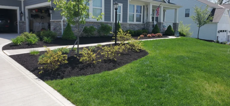 Front yard entry upgrade in Delaware Ohio